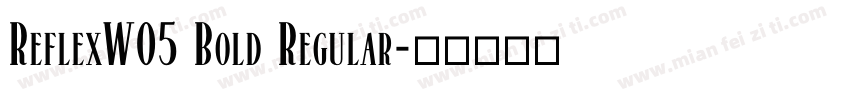 ReflexW05 Bold Regular字体转换